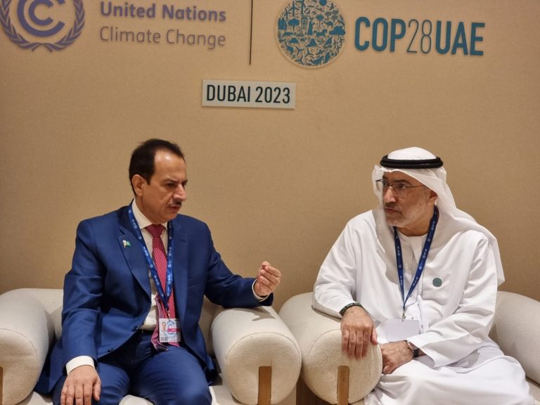 Some Portfolio Title