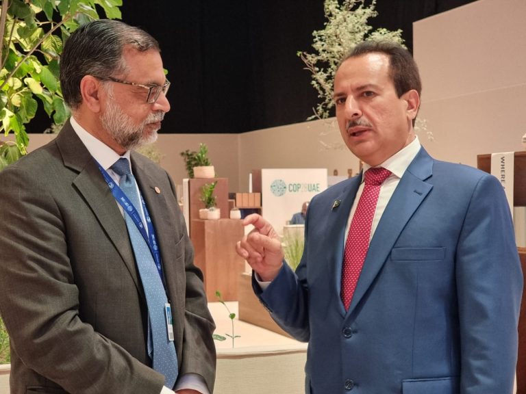 Some Portfolio Title