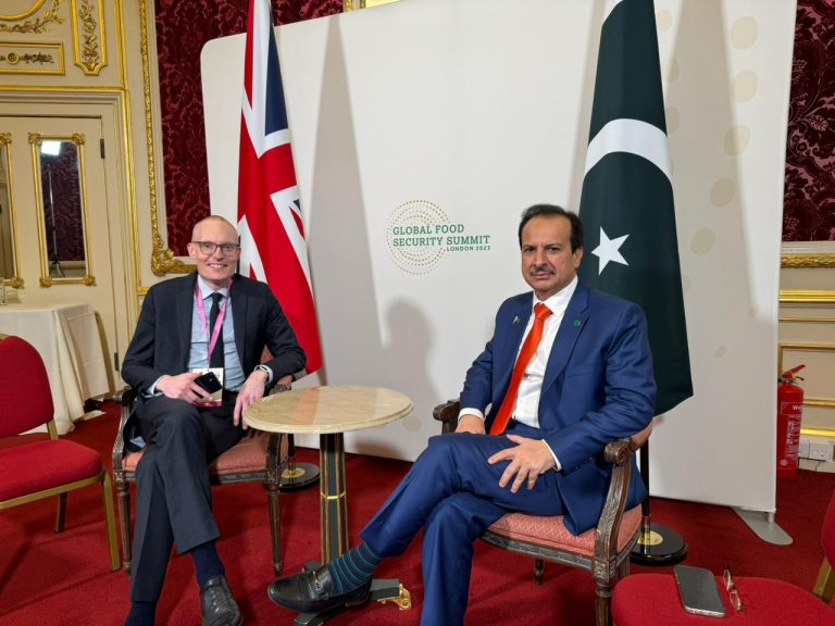 Some Portfolio Title