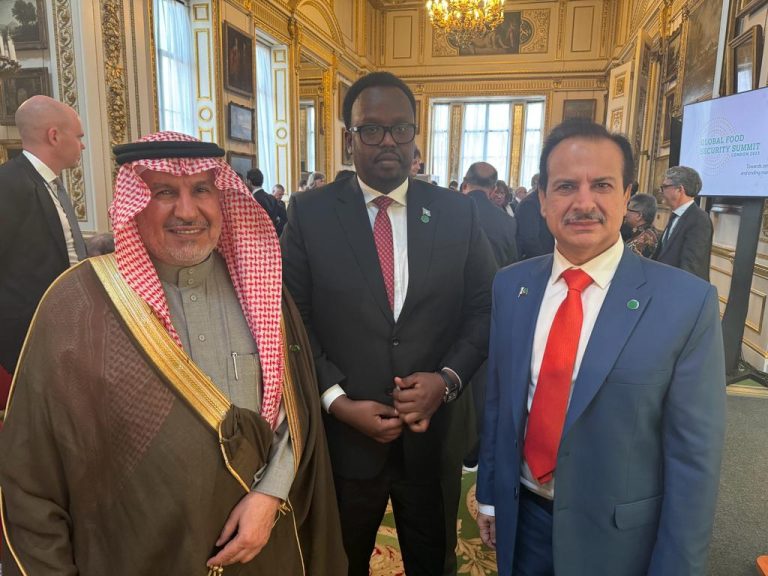 Some Portfolio Title